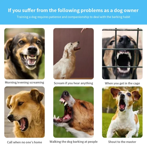 Dog Training Collar Automatic Anti Bark Dog Collar Type-C Rechargeable Dog Trainer Electric Shock Vibration Buzzer Waterproof - Image 3