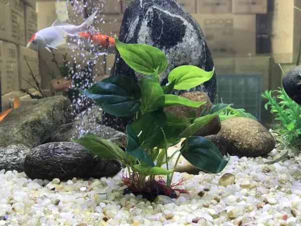 Künstliche Aquarium-Dekoration, Pflanzen, Kunststoff-Wasserpflanze mit großen grünen Blättern, Unterwasserpflanzen, Aquarium-Wasserpflanze schmücken - Image 4
