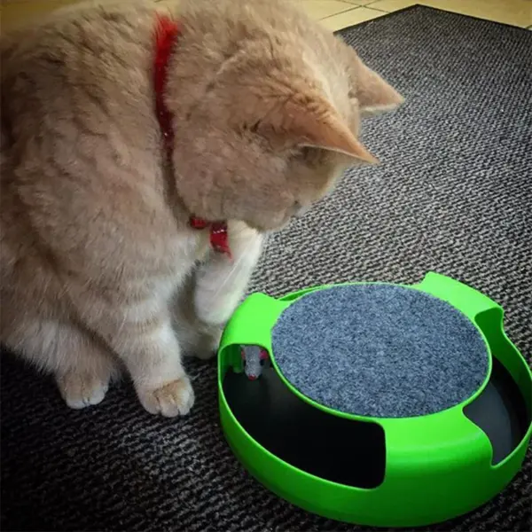Katze Spielzeug Plattenspieler Roller Maus Spielzeug Interaktive Intelligenz Training Track Lustige Spiele Katze Scratcher Spielzeug Haustier Spielzeug Zubehör - Image 12