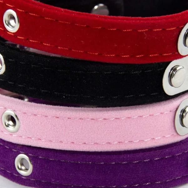 Personalisiertes Katzenhalsband aus weichem Samt, Welpen-Halskettenhalsbänder für Katzen, kleiner Hund, Kätzchen-Zubehör, individueller ID-Name, kostenlose Gravur - Image 13