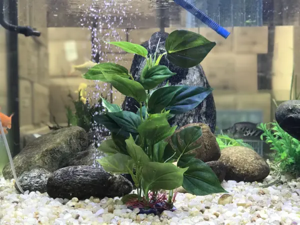 Künstliche Aquarium-Dekoration, Pflanzen, Kunststoff-Wasserpflanze mit großen grünen Blättern, Unterwasserpflanzen, Aquarium-Wasserpflanze schmücken - Image 3