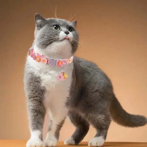 Kätzchenhalsband, abtrünniges, verstellbares Hundehalsband mit Glöckchen, Heimtierbedarf, Katzenzubehör, niedliches Kätzchen-Kostüm, Halsdekoration für Welpen - Image 4