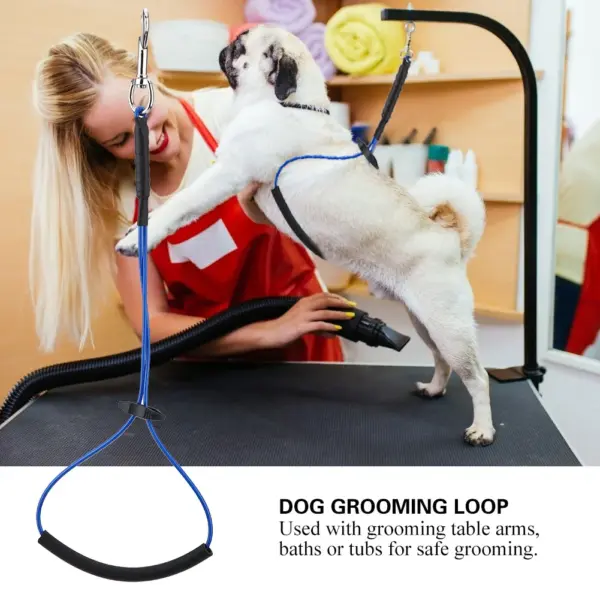 Haustier pflege Hund Katze Pflege einzelne Schlinge Reifen für Haustier Tisch Arm Badewanne Hund Pflege Tisch pflege - Image 9
