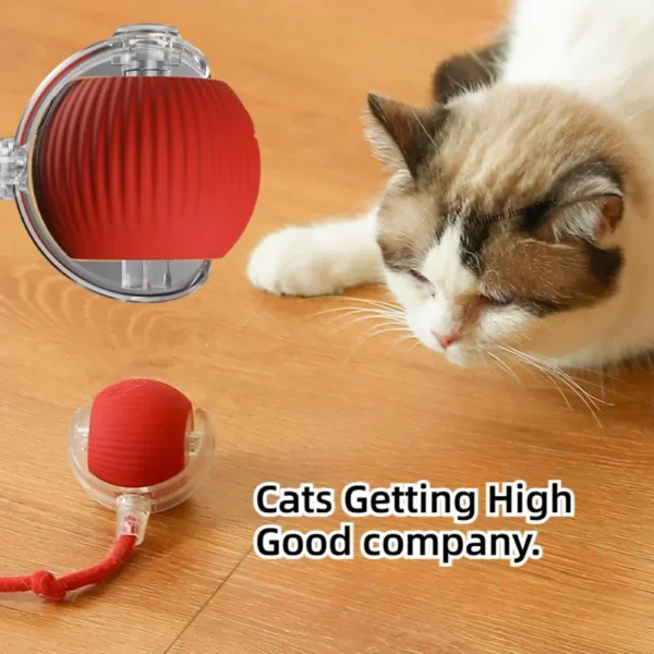 Interactive Toy Ball for Cats Cat Toys Interactive Automatic Electric Rolling Ball Toys Cats Pet Products Accessories Things - Image 3