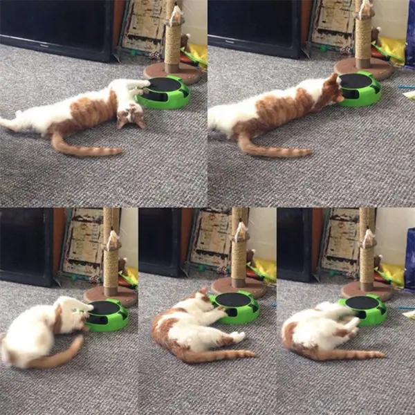 Katze Spielzeug Plattenspieler Roller Maus Spielzeug Interaktive Intelligenz Training Track Lustige Spiele Katze Scratcher Spielzeug Haustier Spielzeug Zubehör - Image 6