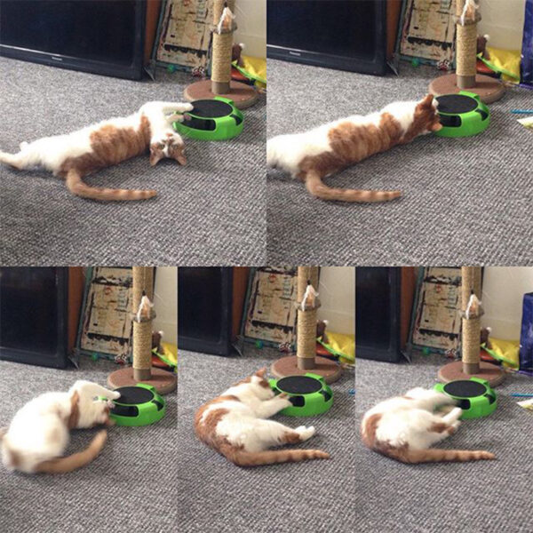 Katze Spielzeug Plattenspieler Roller Maus Spielzeug Interaktive Intelligenz Training Track Lustige Spiele Katze Scratcher Spielzeug Haustier Spielzeug Zubehör - Image 14