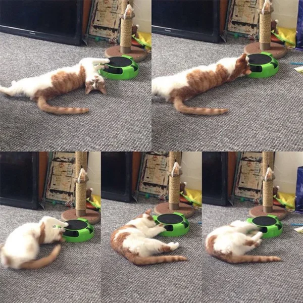 Cat Toy Turntable Roller Mouse Toys Interactive Intelligence Training Track Funny Games Cat Scratcher Toy Pet Toys  Accessories - Image 6