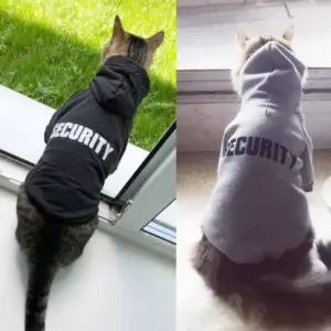 Sicherheit Katze Kleidung Haustier Katze Mäntel Jacke Hoodies Für Katzen Outfit Warme Haustier Kleidung Kaninchen Tiere Haustier Kostüm Für Kleine Hunde