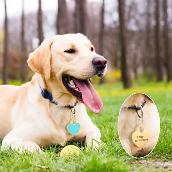 Personalisiertes Namensschild für Hunde und Katzen, glitzernde Strasssteine, Welpen, Kätzchen, Anti-Verlust-Haustierhalsband, Zubehör, kostenlose gravierte Haustierprodukte - Image 58