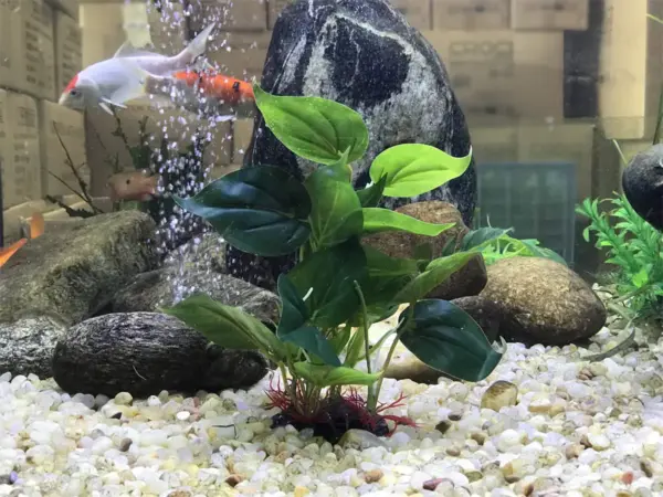 Künstliche Aquarium-Dekoration, Pflanzen, Kunststoff-Wasserpflanze mit großen grünen Blättern, Unterwasserpflanzen, Aquarium-Wasserpflanze schmücken - Image 12