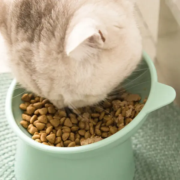 Haustier Katze Hunden apf hoher Fuß Hunden apf Hals schutz Katze Tiernahrung Wasserschale Anti-Umkippen binaural wasch bar Haustier Futters chale - Image 19