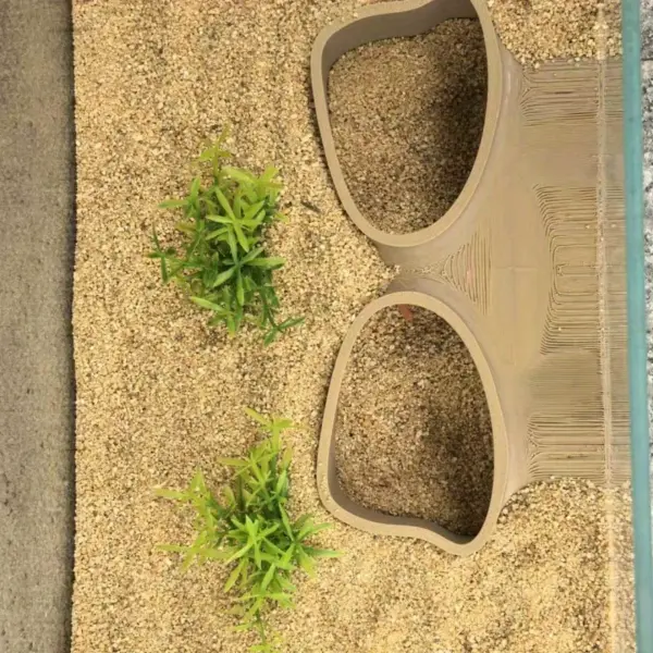 Benthische Organismen, unterirdische Pisten, Höhlen, Doppelloch-Aquarien, Aquarien, Landschaftsbau, Orte, Höhlen, Aquarien, de - Image 5