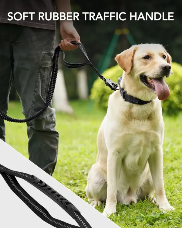 Robuste Hundeleine mit elastischem Bungee für mittelgroße und große Hunde – Stoßdämpfung und Sicherheitsclip im Lieferumfang enthalten - Image 15