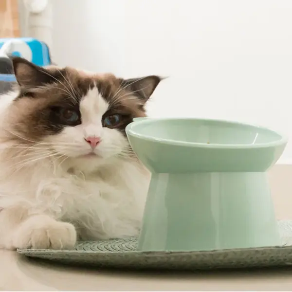 Haustier Katze Hunden apf hoher Fuß Hunden apf Hals schutz Katze Tiernahrung Wasserschale Anti-Umkippen binaural wasch bar Haustier Futters chale - Image 21