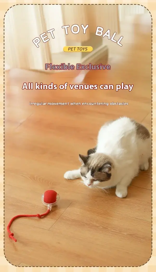 Interaktiver Spielzeugball für Katzen, Katzenspielzeug, interaktiver automatischer elektrischer Rollball, Spielzeug für Katzen, Haustierprodukte, Zubehör, Dinge - Image 13