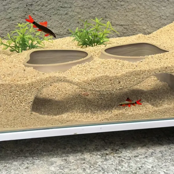 Benthische Organismen, unterirdische Pisten, Höhlen, Doppelloch-Aquarien, Aquarien, Landschaftsbau, Orte, Höhlen, Aquarien, de - Image 3