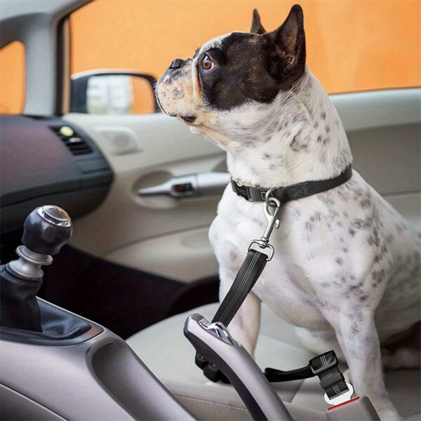 Durable Nylon Dog Seat Belt - Adjustable Car Safety Harness with Leash for Secure Travel - Image 15