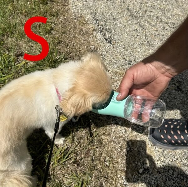 Leak-Proof Portable Dog Water Dispenser for Walking and Travel - Keep Your Pet Hydrated On-The-Go - Image 22