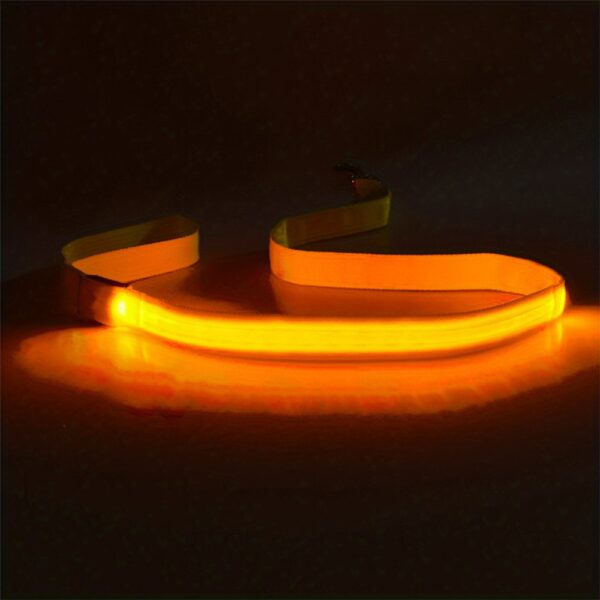 Secure Night Walks: Enhanced Visibility Glow & LED Dog Leash, Durable and Stylish for Your Pet's Safety and Comfort - Image 9