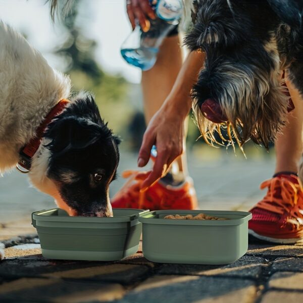 Multifunctional Collapsible Pet Double Bowls Portable Plastic Double-Layer Leak Proof Dog Food Bowl Water Bowl For Pet Outdoor Traveling Camping Walking Supplies - Image 11