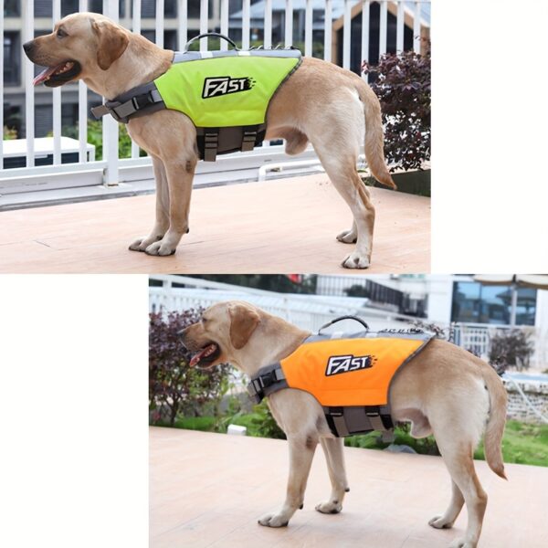High-Visibility Orange Dog Life Jacket with Gray Accents - Durable Polyester, Adjustable Safety Swim Vest for All Dog Sizes with Easy-Wear Straps & Large "FAST" Print - Perfect for Summer Beach & Pool Activities, Beach Safety Gear|Adjustable Dog Jacket|Du - Image 8