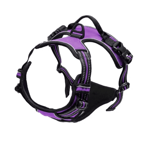 Adjustable No-Pull Dog Harness with Padded Vest and Dual Leash Clips - Prevents Choking and Provides Comfortable Walking Experience - Image 34