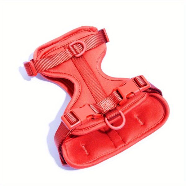 Soft Padding Comfortable Dog Harness - No-Pull with Dual Leash Clips - Perfect for Walking and Training Your Pet - Image 7