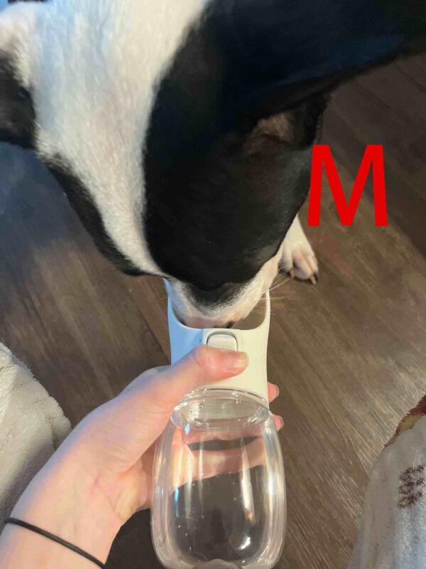 Leak-Proof Portable Dog Water Dispenser for Walking and Travel - Keep Your Pet Hydrated On-The-Go - Image 24