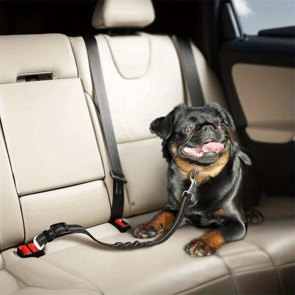 Durable Nylon Dog Seat Belt - Adjustable Car Safety Harness with Leash for Secure Travel - Image 13