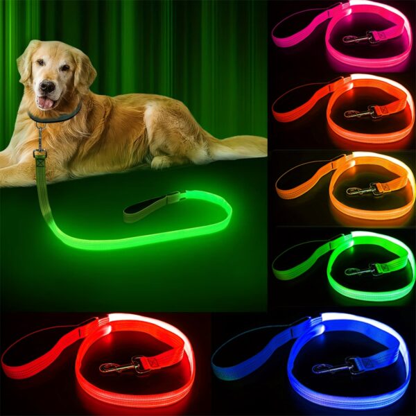 Secure Night Walks: Enhanced Visibility Glow & LED Dog Leash, Durable and Stylish for Your Pet's Safety and Comfort