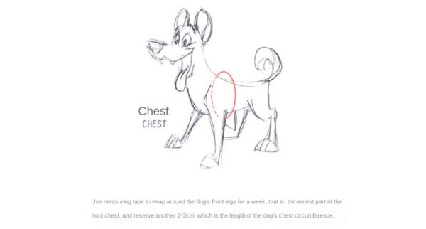 Premium Reflective Dog Harness - Durable, Comfortable, No-Choke Design - High Visibility for Safe Outdoor Adventures - Image 23