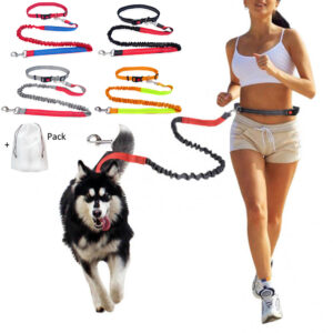 Durable Elastic Nylon Dog Leash for Running and Walking - Pet Traction Leash with Comfortable Grip - Ideal for Active Dogs and Pet Owners