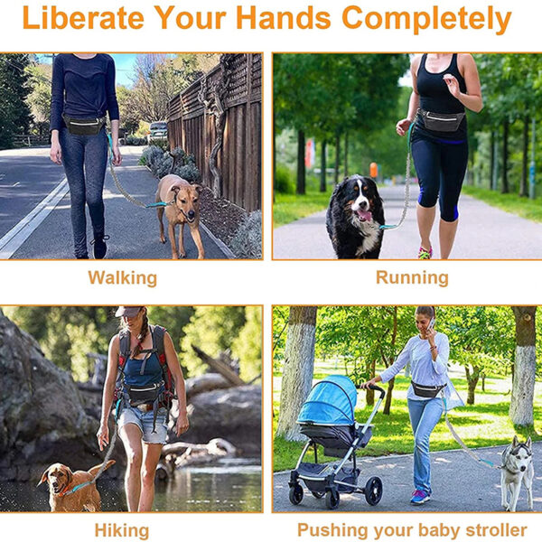Durable Elastic Nylon Dog Leash for Running and Walking - Pet Traction Leash with Comfortable Grip - Ideal for Active Dogs and Pet Owners - Image 12