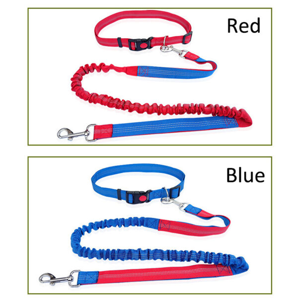 Durable Elastic Nylon Dog Leash for Running and Walking - Pet Traction Leash with Comfortable Grip - Ideal for Active Dogs and Pet Owners - Image 2