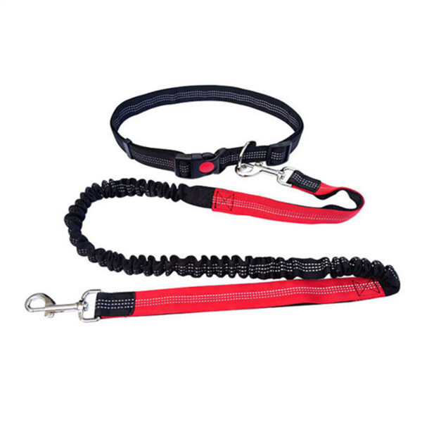 Durable Elastic Nylon Dog Leash for Running and Walking - Pet Traction Leash with Comfortable Grip - Ideal for Active Dogs and Pet Owners - Image 8