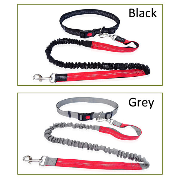 Durable Elastic Nylon Dog Leash for Running and Walking - Pet Traction Leash with Comfortable Grip - Ideal for Active Dogs and Pet Owners - Image 3