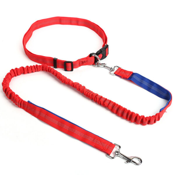 Durable Elastic Nylon Dog Leash for Running and Walking - Pet Traction Leash with Comfortable Grip - Ideal for Active Dogs and Pet Owners - Image 6