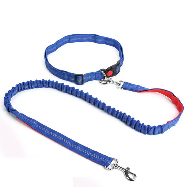 Durable Elastic Nylon Dog Leash for Running and Walking - Pet Traction Leash with Comfortable Grip - Ideal for Active Dogs and Pet Owners - Image 7