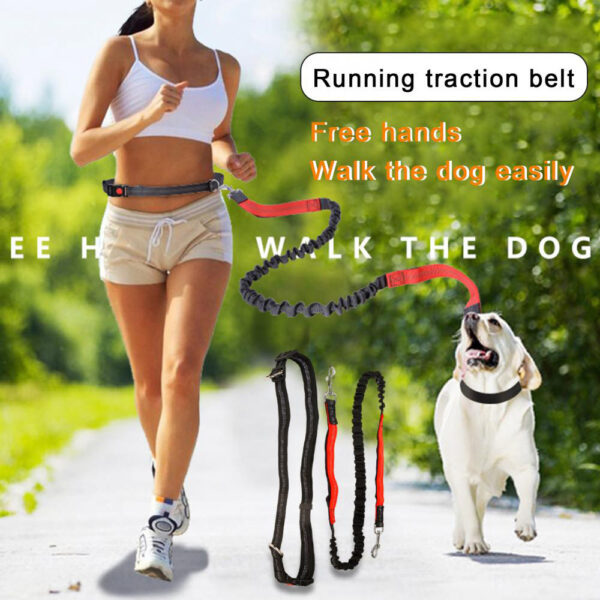 Durable Elastic Nylon Dog Leash for Running and Walking - Pet Traction Leash with Comfortable Grip - Ideal for Active Dogs and Pet Owners - Image 15