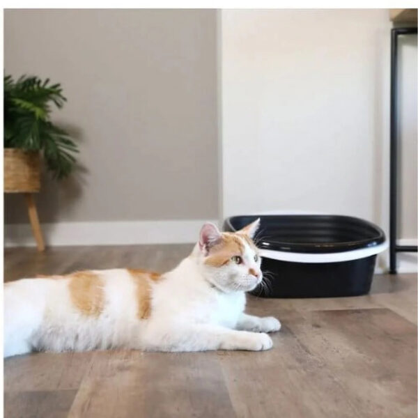 Sifting Cat Litter Box, 2 Open Top Plastic Cat Litter Pans and Cat Litter Tray, Large, Black - Image 5