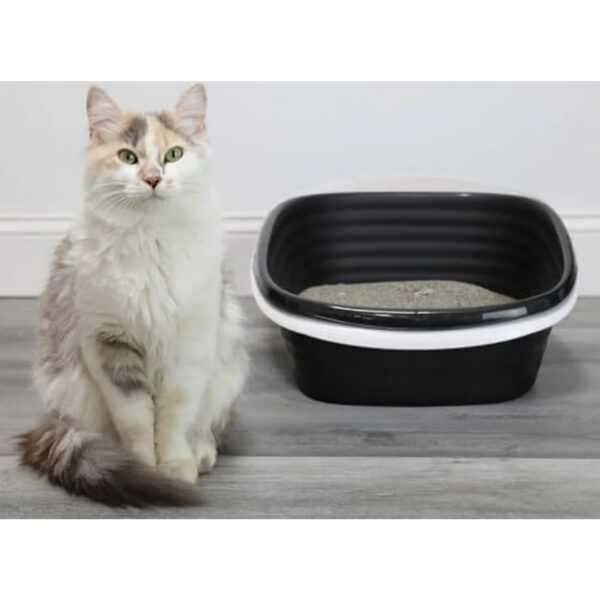 Sifting Cat Litter Box, 2 Open Top Plastic Cat Litter Pans and Cat Litter Tray, Large, Black - Image 4