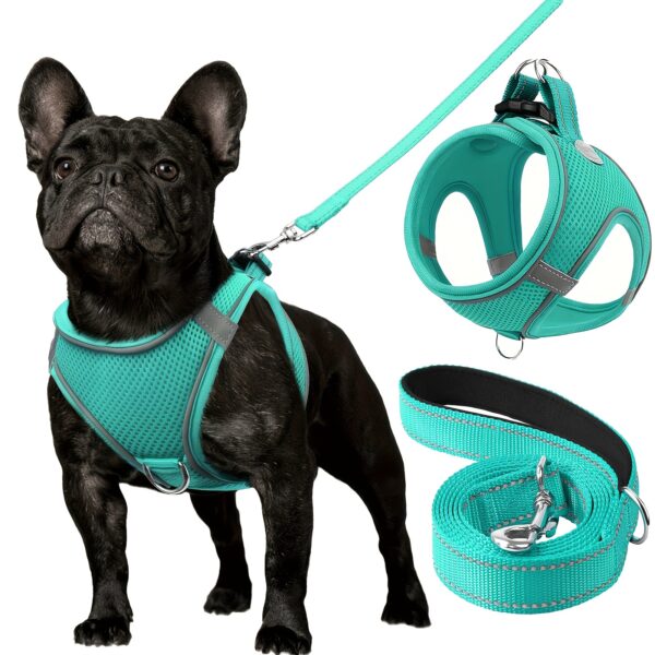 Joytale Reflective Dog Harness and Leash Set - Comfortable, Breathable Mesh Vest with Padded Nylon Lead for Small to Medium Breeds - No-Choke Design with Dual D-Ring & Poop Bag Dispenser, JOYTALE - Image 14
