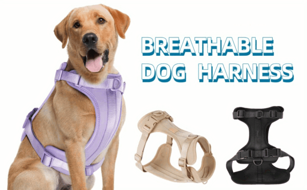 Soft Padding Comfortable Dog Harness - No-Pull with Dual Leash Clips - Perfect for Walking and Training Your Pet - Image 52