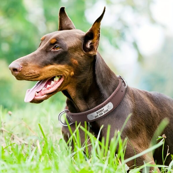 Custom Engraved Dog Collar with Personalized ID Tag - Durable Padded Pet Collar for Small, Medium & Large Dogs - Solid Pattern, Adjustable Fit, Secure Metal Hardware, Personalized Pet Accessory | Stylish Dog Collar | Durable Band, Personalized Dog Collar - Image 14