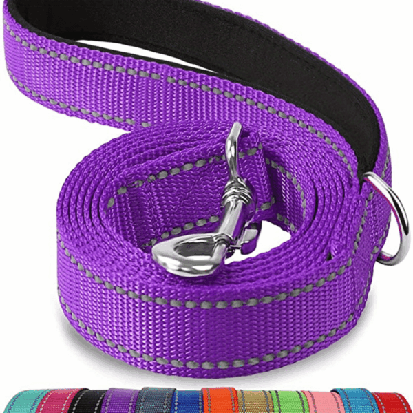 Safe and Comfortable Reflective Double-Sided Dog Leash for Walking and Training - Image 11