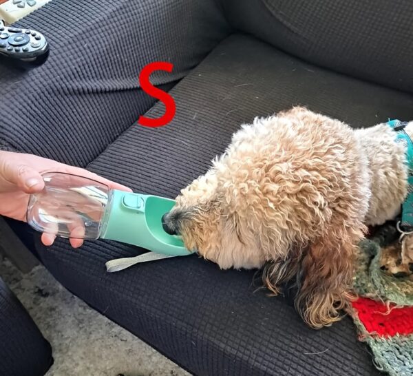 Leak-Proof Portable Dog Water Dispenser for Walking and Travel - Keep Your Pet Hydrated On-The-Go - Image 23