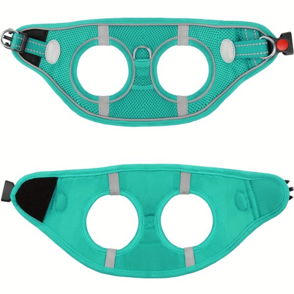 Joytale Reflective Dog Harness and Leash Set - Comfortable, Breathable Mesh Vest with Padded Nylon Lead for Small to Medium Breeds - No-Choke Design with Dual D-Ring & Poop Bag Dispenser, JOYTALE - Image 6