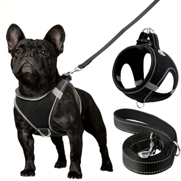 Joytale Reflective Dog Harness and Leash Set - Comfortable, Breathable Mesh Vest with Padded Nylon Lead for Small to Medium Breeds - No-Choke Design with Dual D-Ring & Poop Bag Dispenser, JOYTALE - Image 8