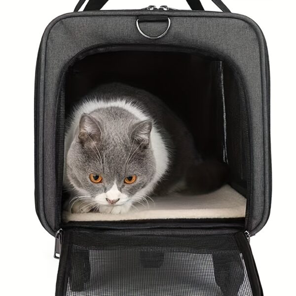 [Extra Large Pet Carrier] Spacious Extra Large Foldable Pet Travel Carrier - Detachable Design, Secure Nylon Trolley Case for Dogs and Cats, Blue, Zipper Closure, Comfortable Wheels for On-the-Go Adventures, Pet Travel Gear | Detachable Pet Carrier | Stur - Image 6