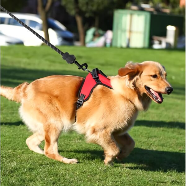 Doglee Ultimate No-Pull Reflective Adjustable Dog Harness with Handle - Premium Comfort, Easy Walking, and Enhanced Visibility - Ideal for Training, Outdoor Adventures, and Everyday Use - Image 14